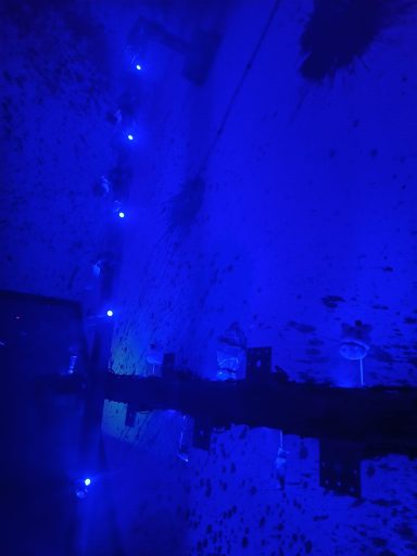 Team Blau